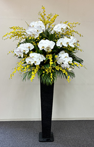 �Ӓ�������