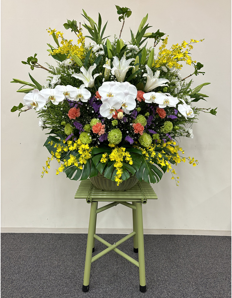 �_���}����