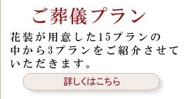 �����V�v����